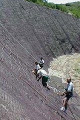 foto (208)  IMAGEN FOTOGRAFIA